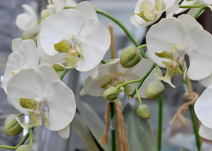 La Genesa Гостевой дом